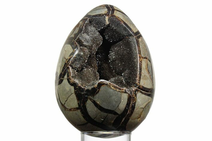 Septarian Dragon Egg Geode - Sparkly Black Crystals #356151